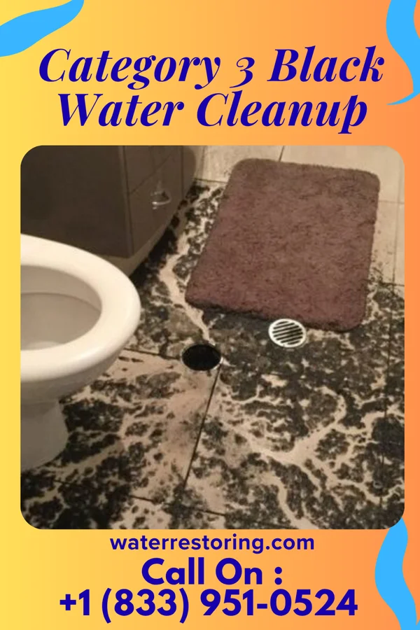 Category 3 Black Water Cleanup in Lake Hamilton, FL